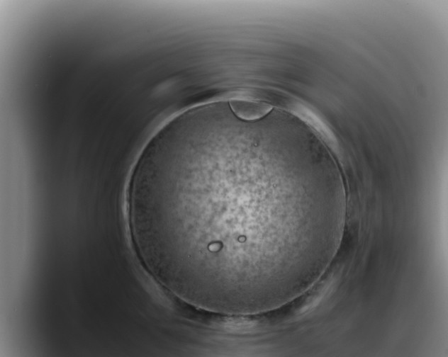 X0000090430907200707201134