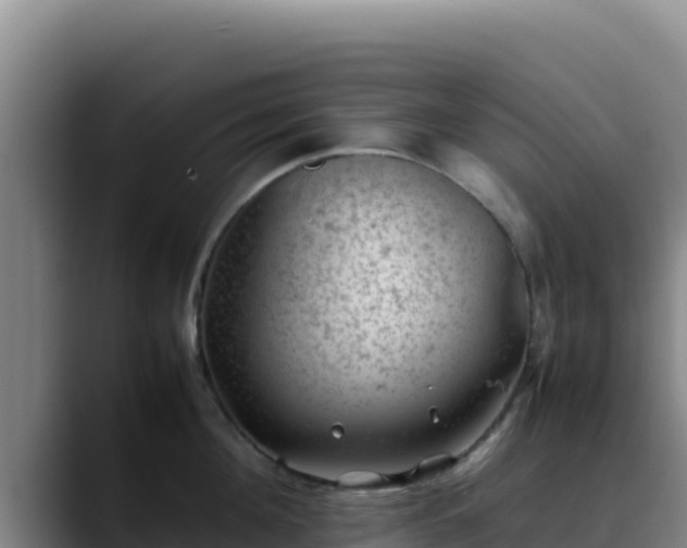 X0000090430908200707201134