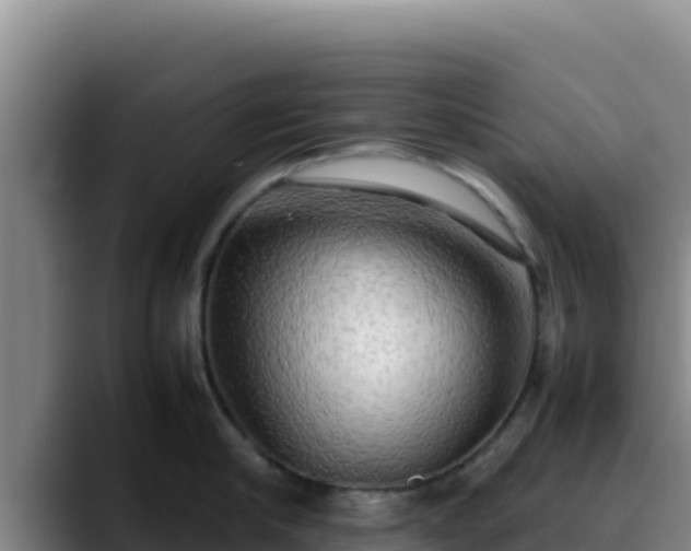 X0000090430910200707201134