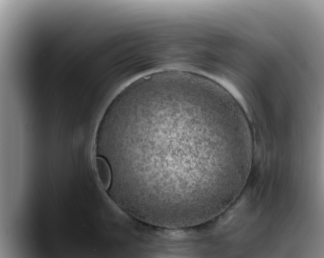 X0000090430911200707201134