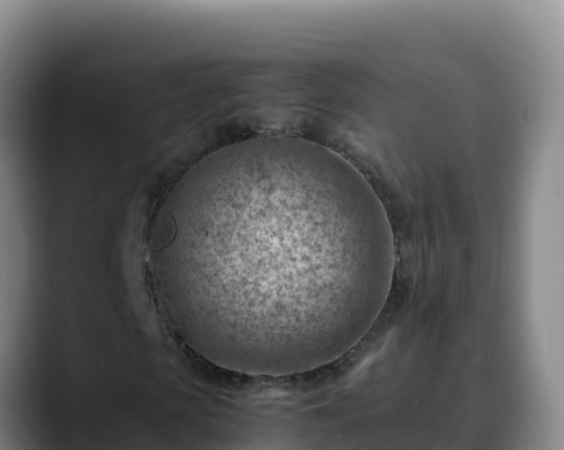 X0000090430913200707201133