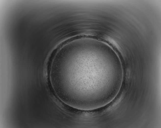 X0000090430923200707201133