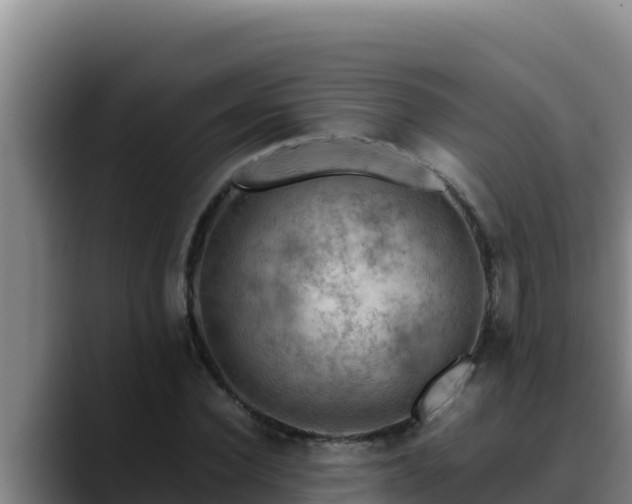 X0000090430924200707201133