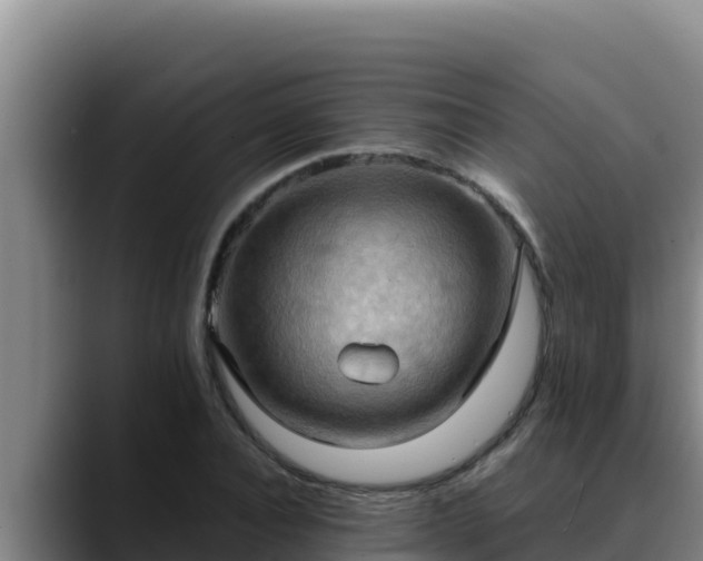 X0000090430928200707201133