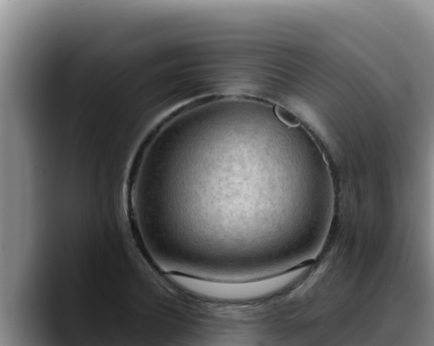 X0000090430932200707201133