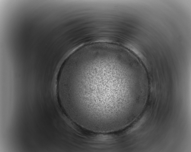 X0000090430933200707201133