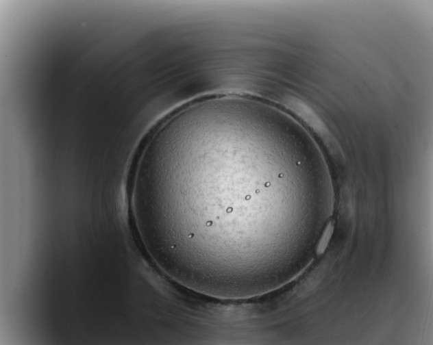 X0000090430936200707201133