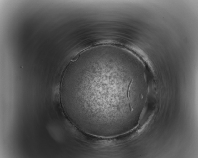 X0000090430937200707201133