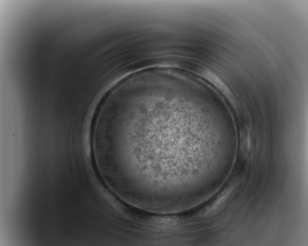 X0000090430939200707201133
