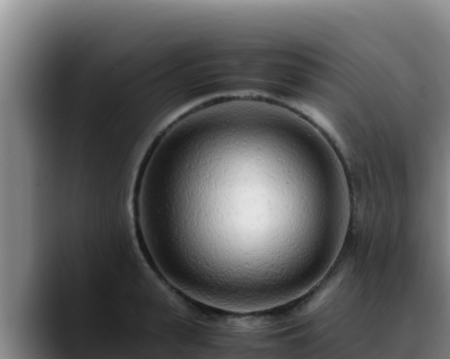 X0000090430943200707201134