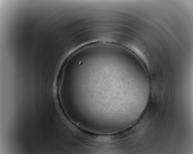 X0000090430944200707201134