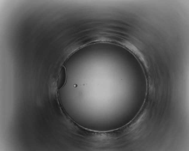 X0000090430945200707201134