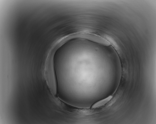 X0000090430948200707201134