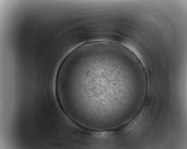 X0000090430949200707201134