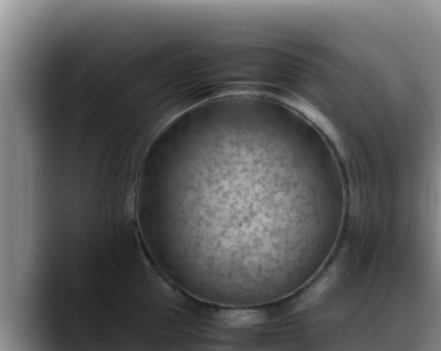 X0000090430953200707201134