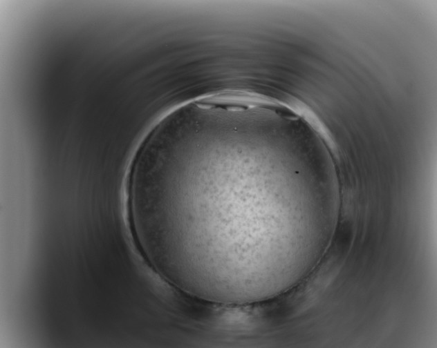 X0000090430955200707201134