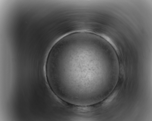 X0000090430959200707201134