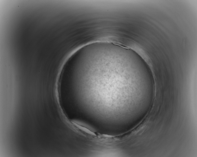 X0000090430960200707201134