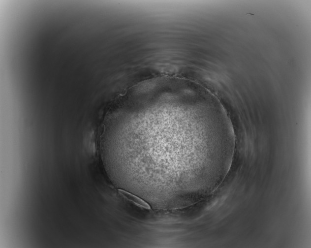X0000090430962200707201133