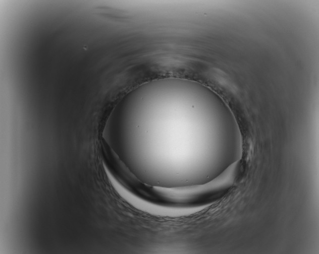 X0000090430965200707201133