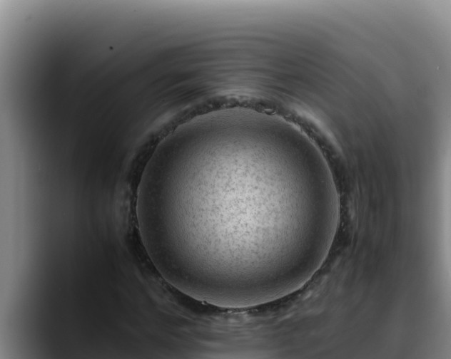 X0000090430968200707201133