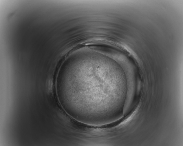 X0000090430969200707201133