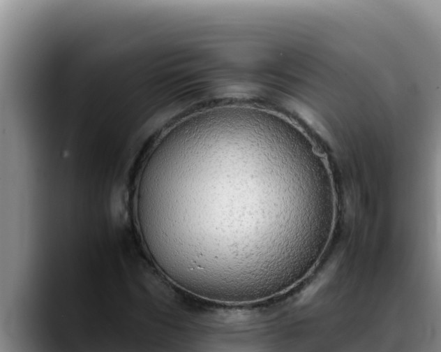 X0000090430970200707201133