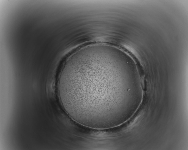 X0000090430971200707201133