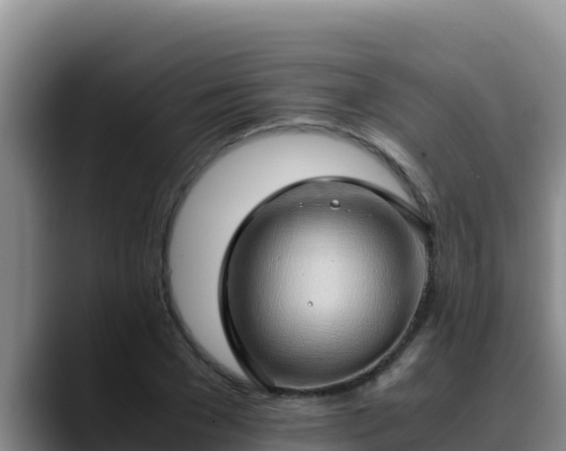 X0000090430977200707201133