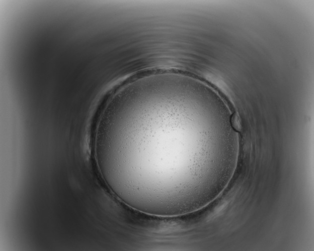 X0000090430979200707201133