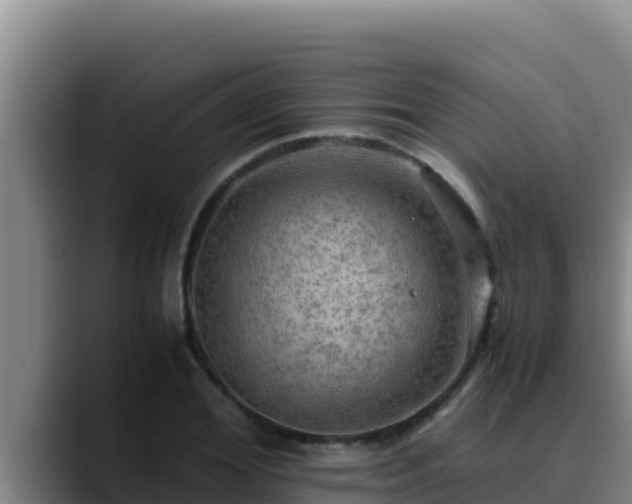 X0000090430980200707201133