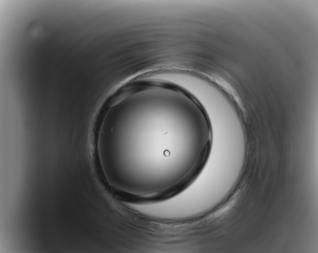 X0000090430981200707201133