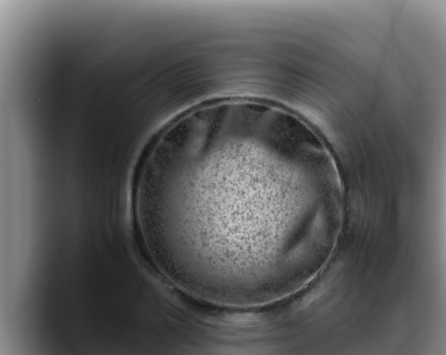 X0000090430982200707201133
