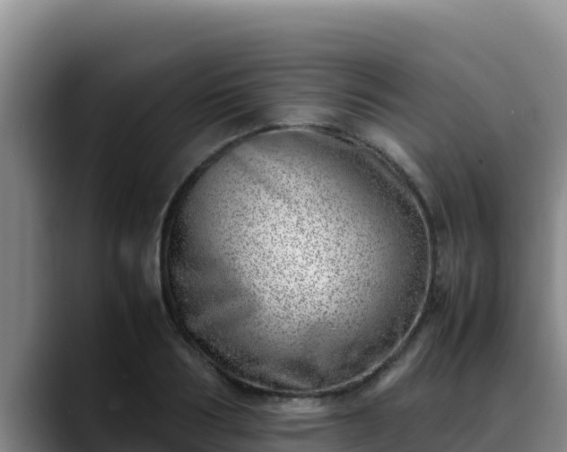 X0000090430986200707201133