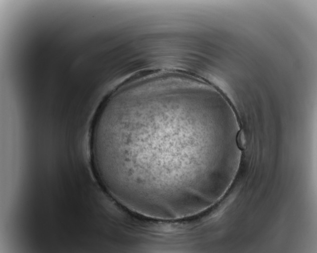 X0000090430987200707201133