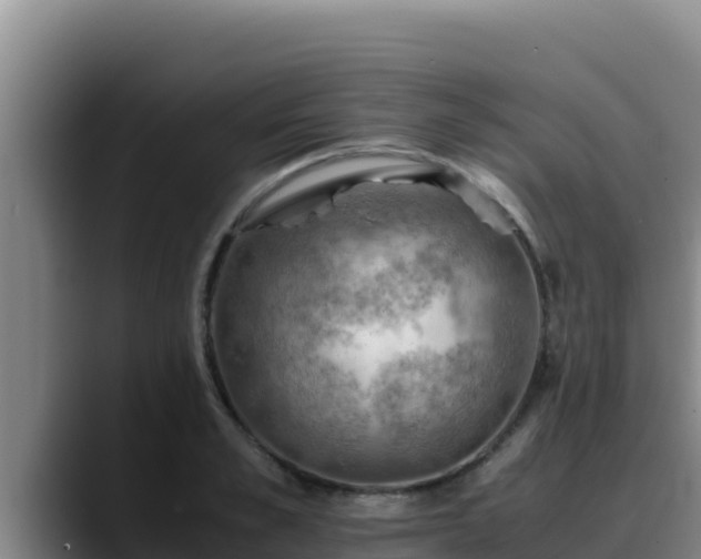 X0000090430989200707201133