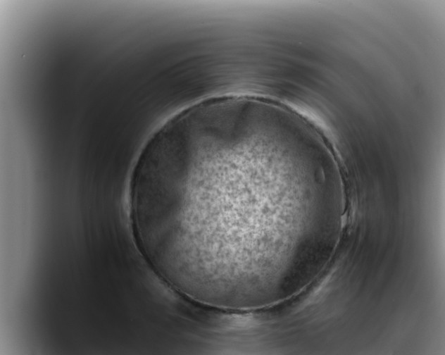 X0000090430990200707201133