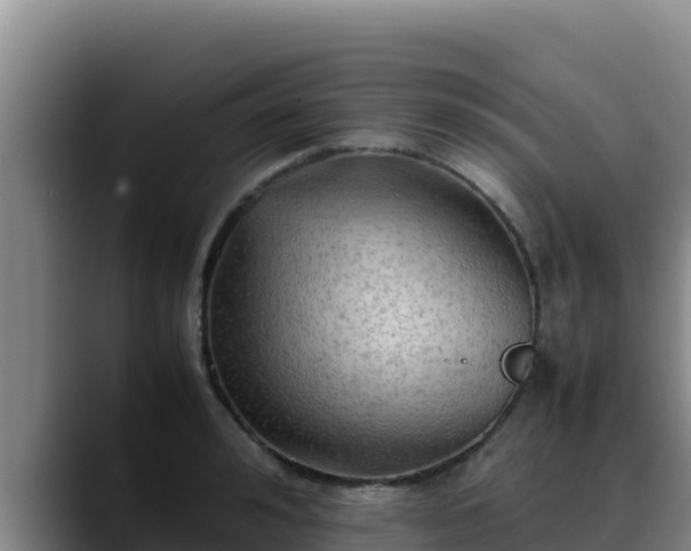 X0000090430992200707201133