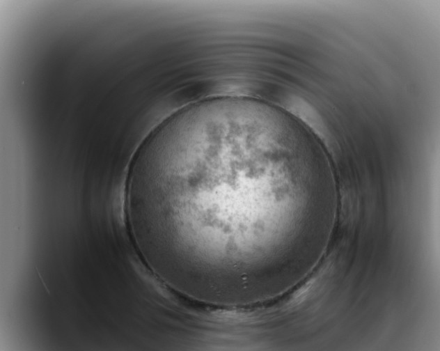 X0000090430994200707201133