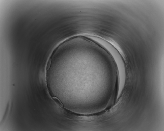 X0000090430996200707201133