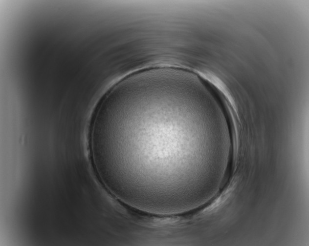 X0000090430997200707201133