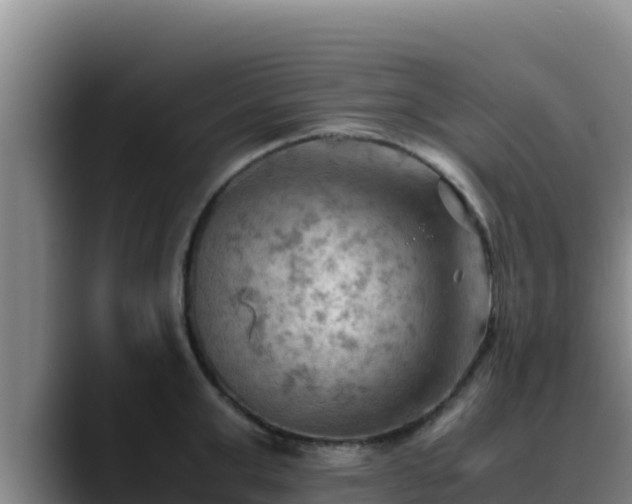 X0000090430999200707201133