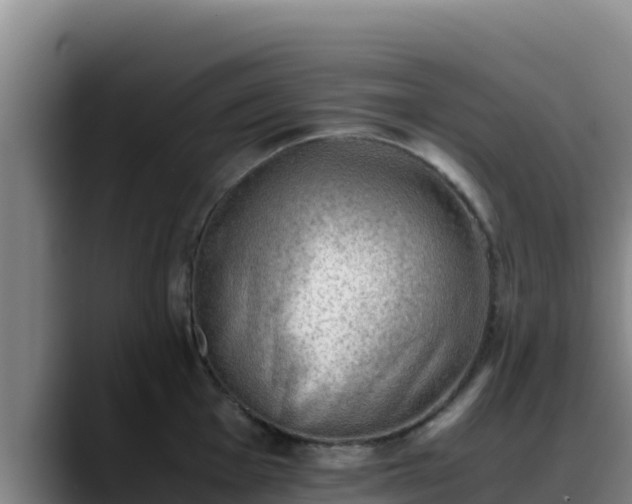 X0000090431001200707201133