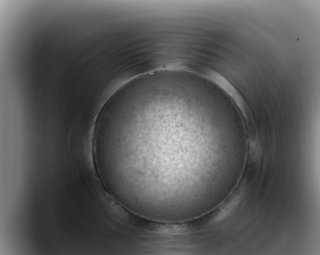 X0000090431002200707201133