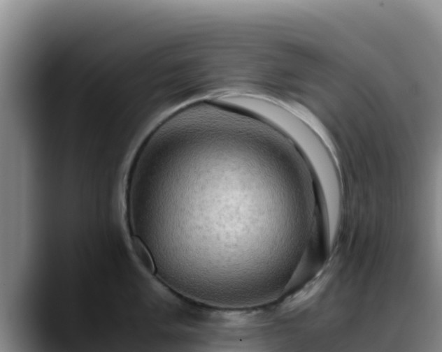 X0000090431005200707201133