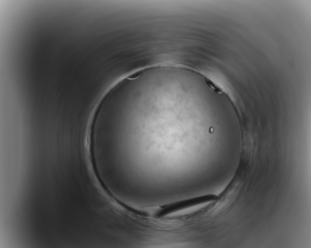 X0000090431007200707201133