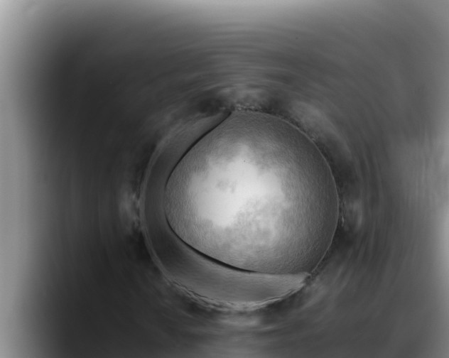 X0000090431010200707201132