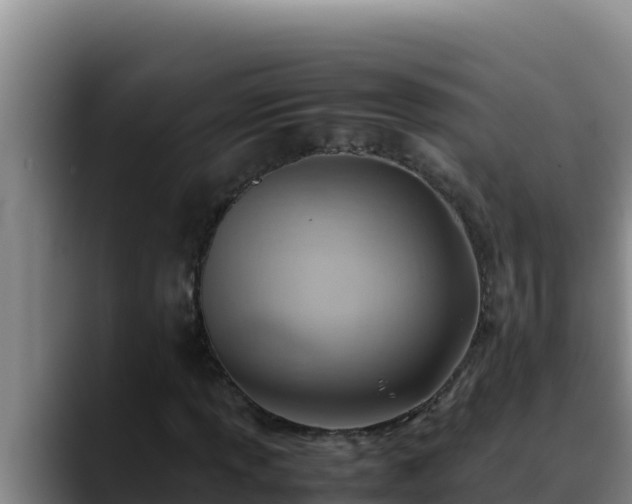 X0000090431013200707201132