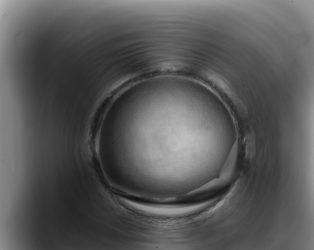 X0000090431018200707201132