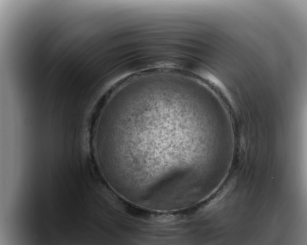 X0000090431019200707201132